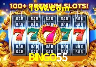 Campos de e-mail e senha na entrada da conta BINGO55